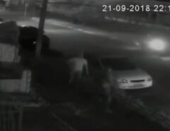 Acusada de orquestrar homicídio do companheiro ganha direito a pensão por morte