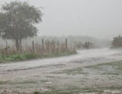 Chuvas de mais de 100 milímetros são registradas neste domingo no interior do RN