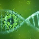 coronavirus-868x644-1