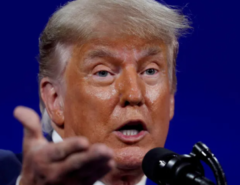 Elon Musk reativa conta de Donald Trump no Twitter