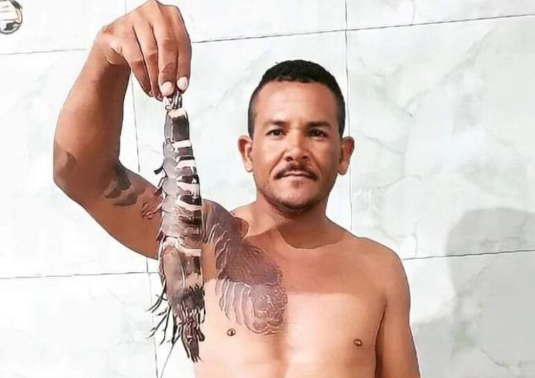CAMARÃO