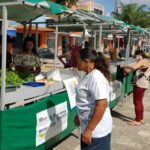 Agricutura familiar