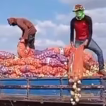 agro