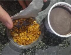 Macaíba: Bebê de oito meses morre e mulher está na UTI após comer açaí; suspeita é de envenenamento