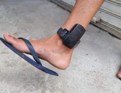 CAOS NO GOVERNO FATIMA: Número de presos sem tornozeleira explode para 800