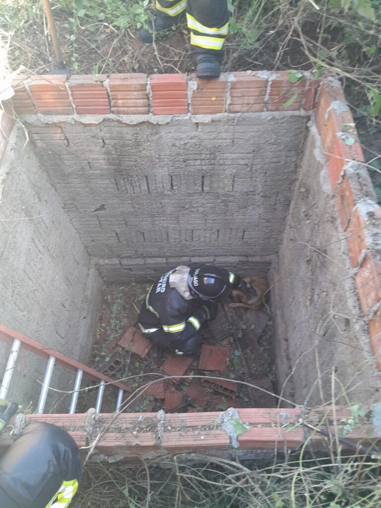 Bombeiros