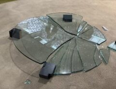 Ida de Bolsonaro à Câmara tem Nikolas Ferreira com rosto sangrando e mesa quebrada