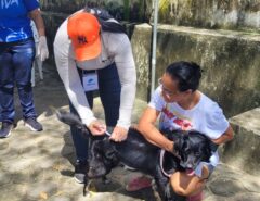 Vacinação antirrábica na zona urbana de Macaíba começa nesta segunda-feira
