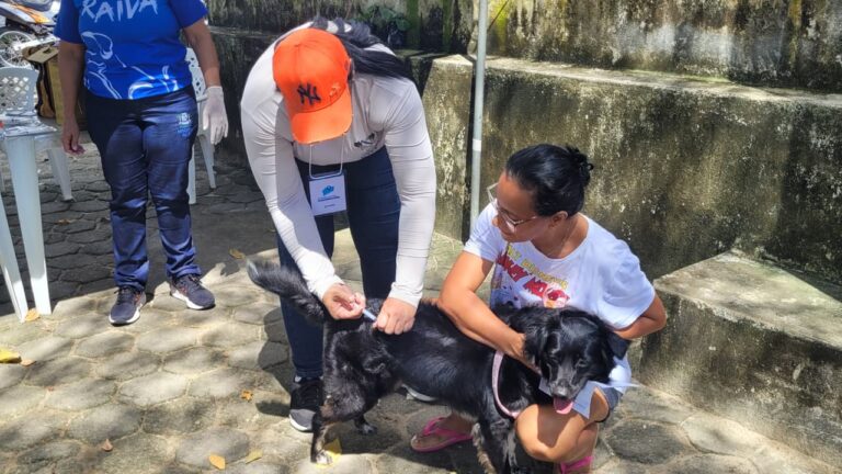 ANIMAIS