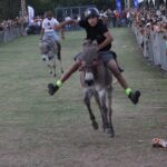 corrida de burro