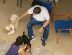 Prisão domiciliar de Bolsonaro é mais restritiva que a de Collor; veja diferenças