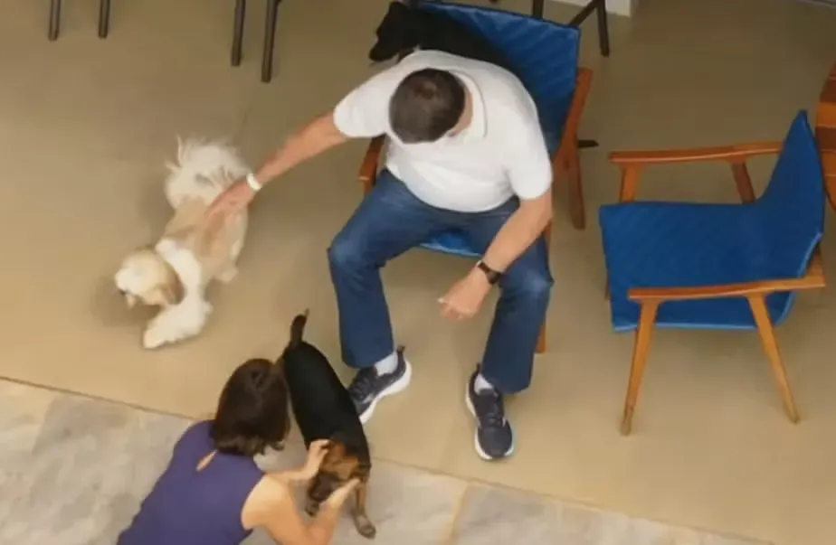 Bolsonaro 222