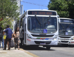 Prefeito Paulinho Freire anuncia transporte público gratuito aos domingos em Natal